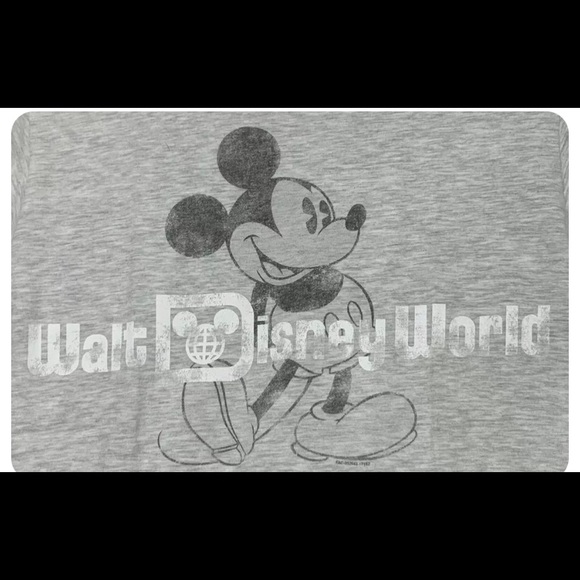 Walt Disney World Mickey Mouse Mens Small Gray T-Shirt Disneyland Resort Hanes - Picture 2 of 6